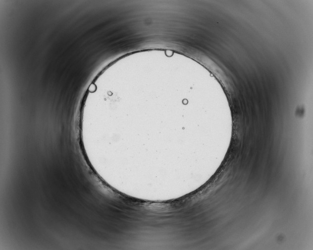 X0000103411140200810241202