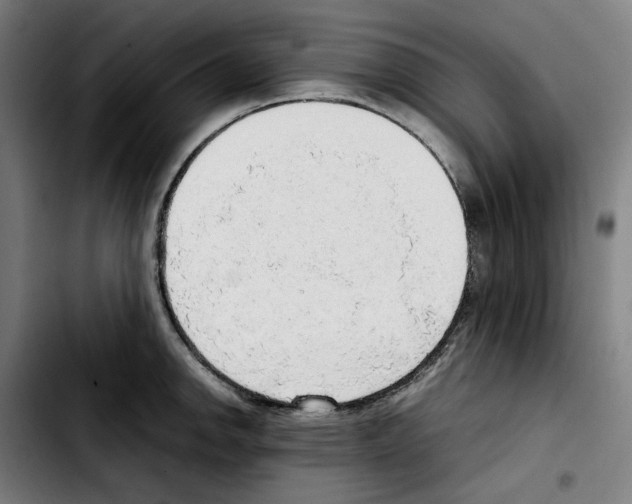 X0000103411142200810241202