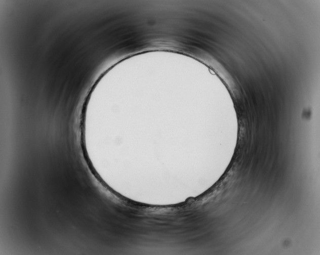 X0000103411143200810241202