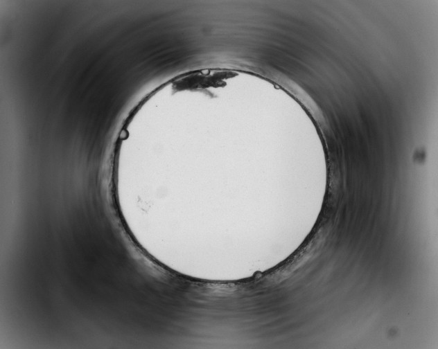 X0000103411144200810241202