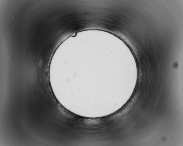 X0000103411145200810241202