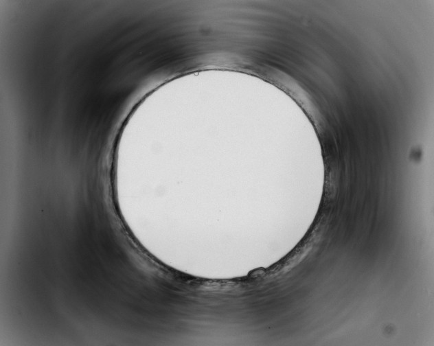 X0000103411146200810241202