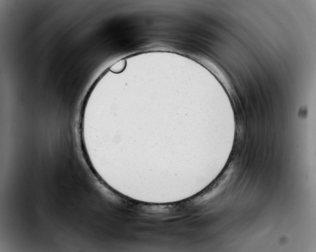 X0000103411149200810241203