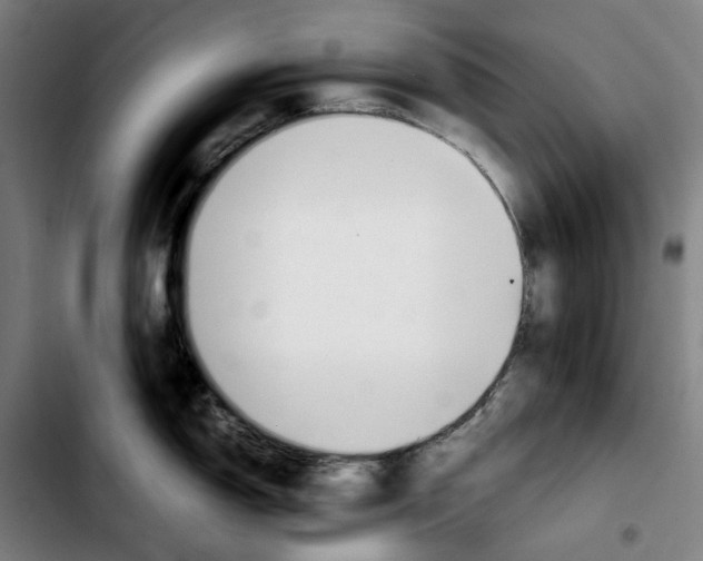 X0000103411150200810241203