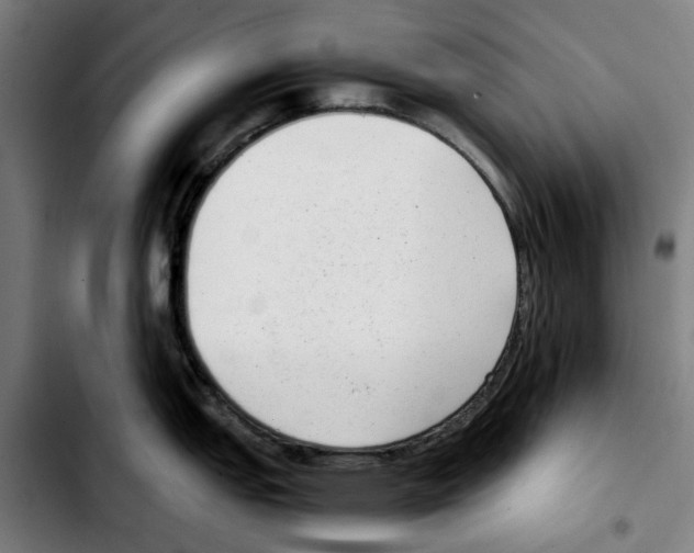 X0000103411151200810241203