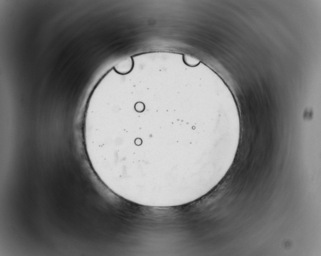 X0000103411152200810241203