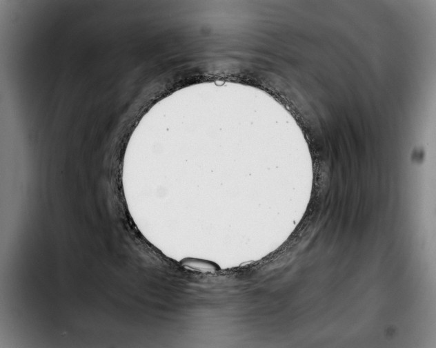 X0000103411153200810241202