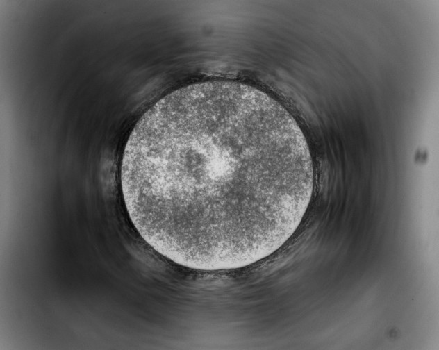 X0000103411154200810241202