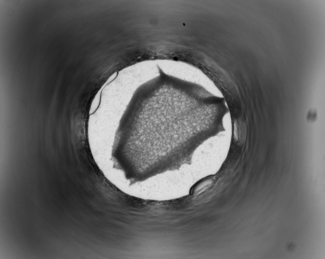 X0000103411155200810241202