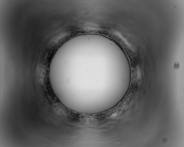 X0000103411157200810241202