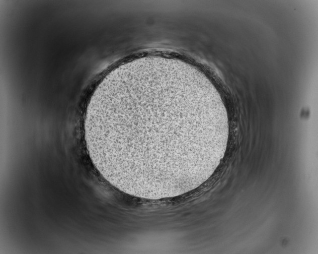 X0000103411159200810241202