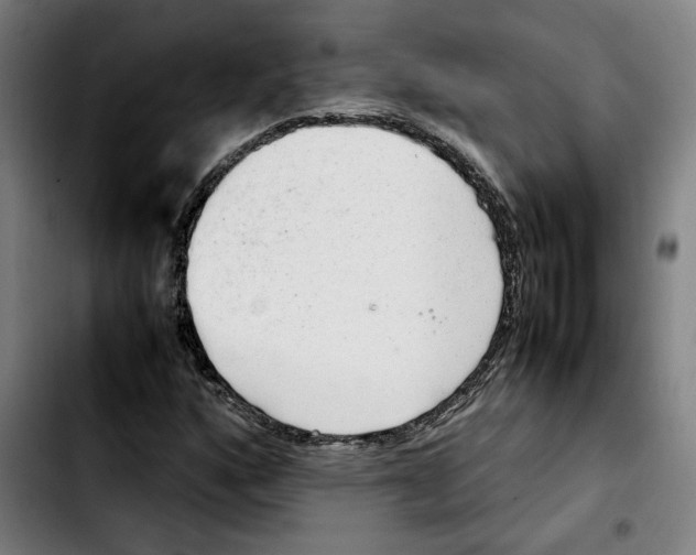 X0000103411160200810241202