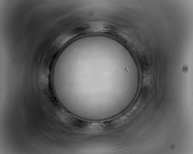 X0000103411161200810241202