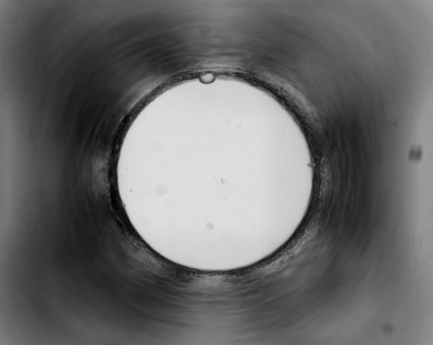 X0000103411162200810241202