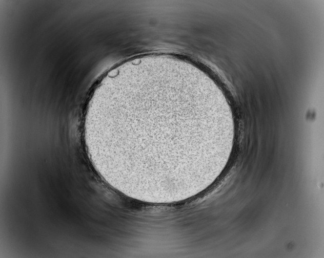 X0000103411163200810241202