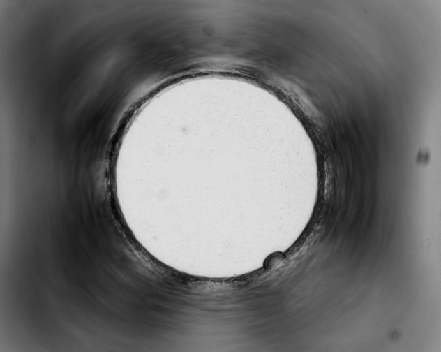 X0000103411164200810241202