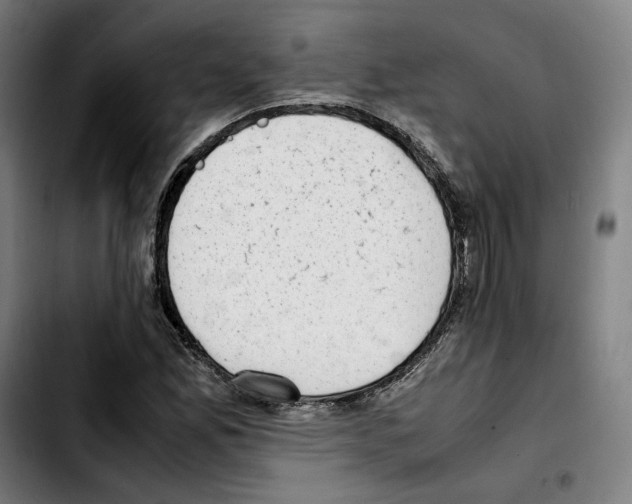 X0000103411165200810241202