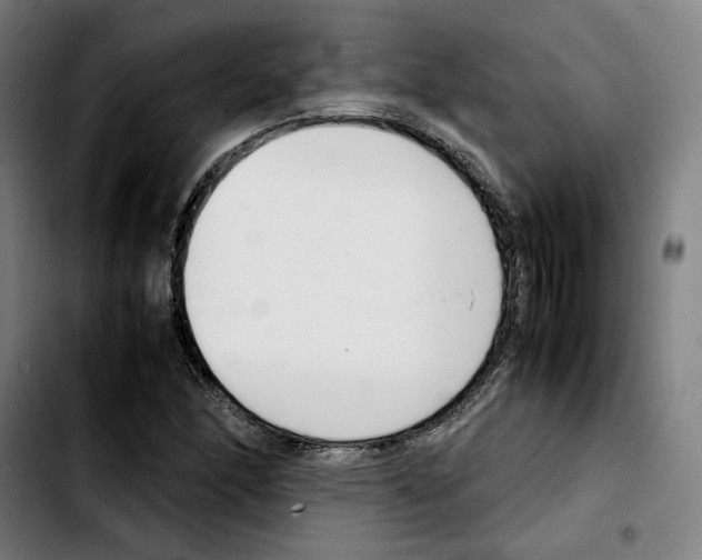 X0000103411166200810241202