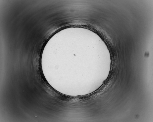 X0000103411169200810241202