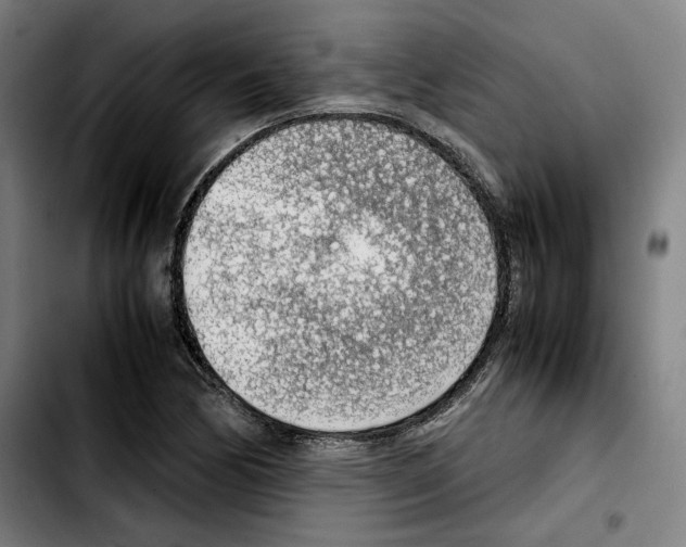 X0000103411170200810241202