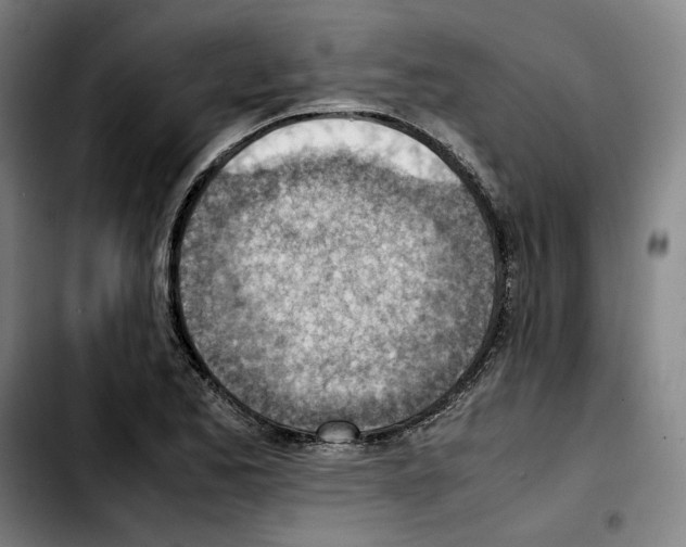 X0000103411173200810241201