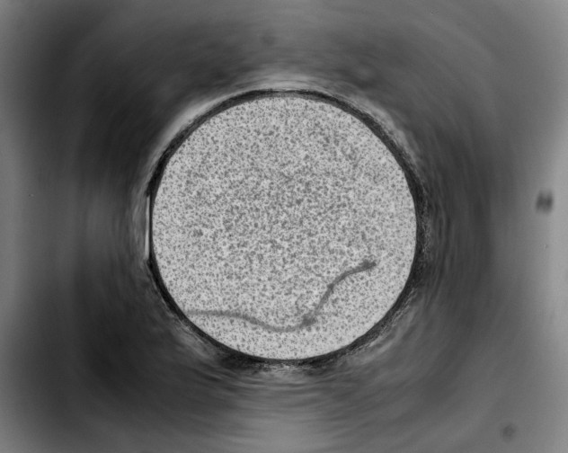 X0000103411175200810241201