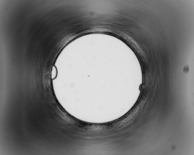 X0000103411177200810241201