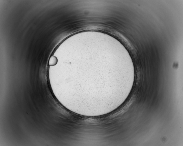 X0000103411178200810241201