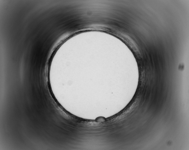 X0000103411180200810241201