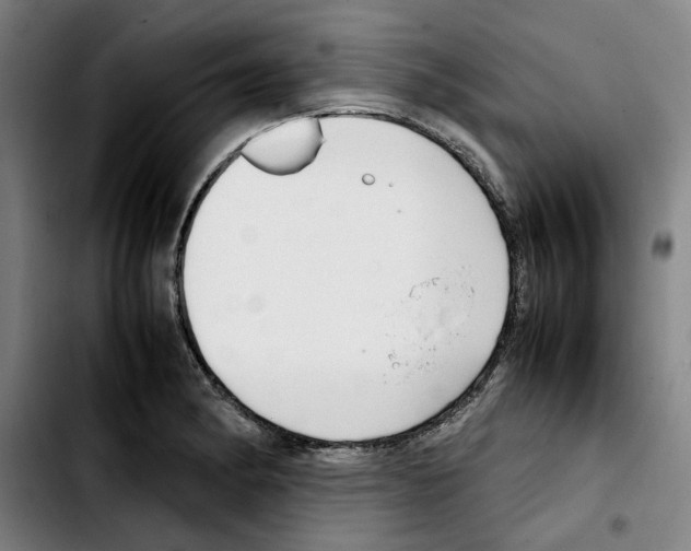 X0000103411182200810241201