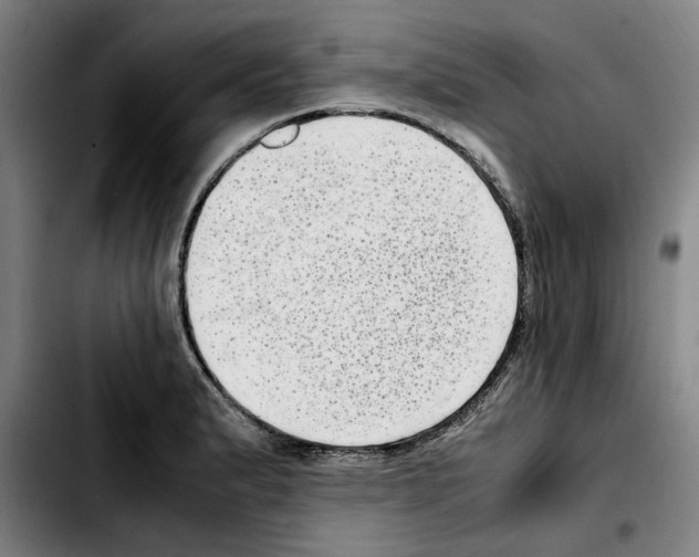 X0000103411183200810241201