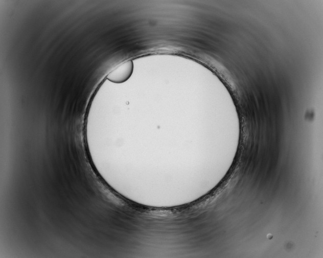 X0000103411186200810241201