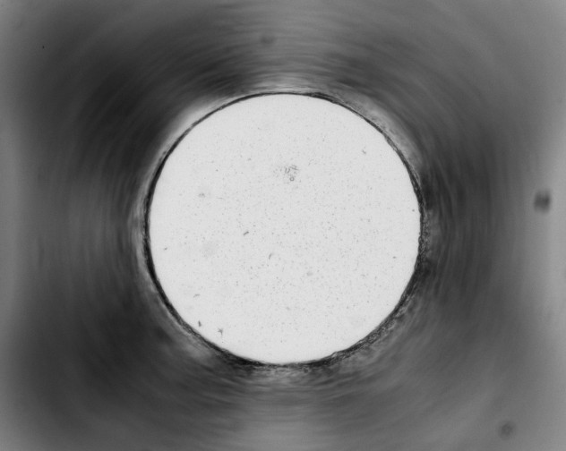 X0000103411187200810241201