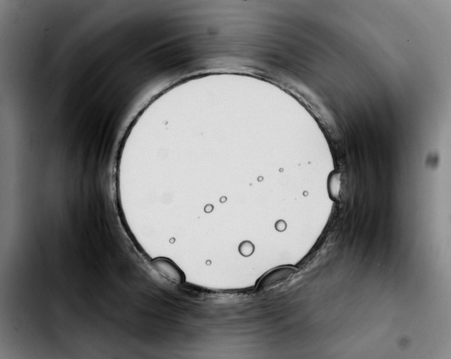 X0000103411188200810241201