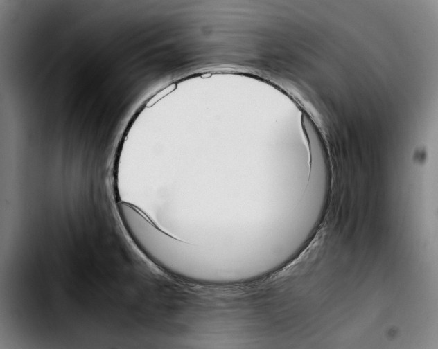 X0000103411189200810241201