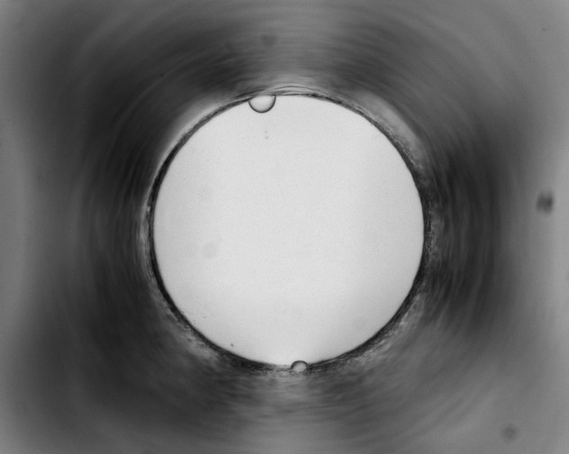 X0000103411190200810241201