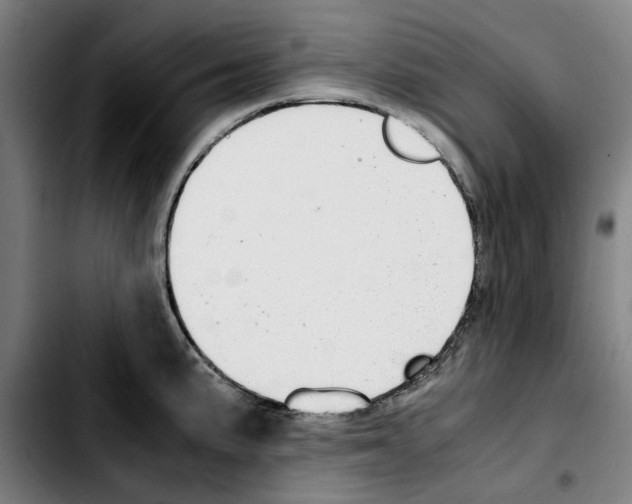 X0000103411191200810241201