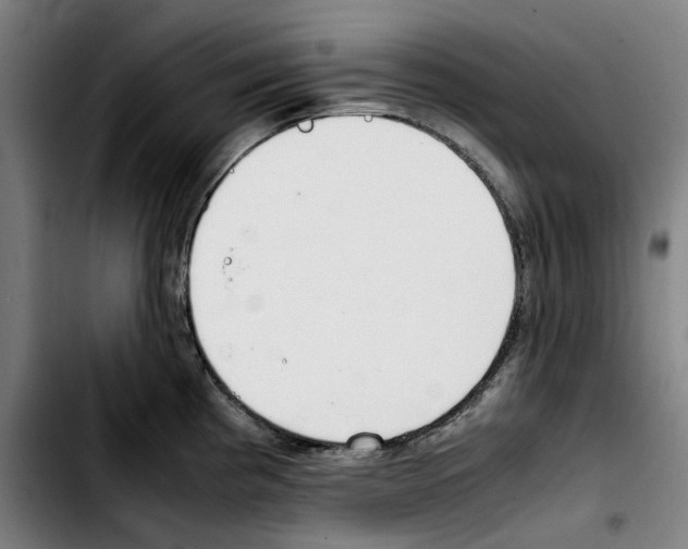 X0000103411193200810241201