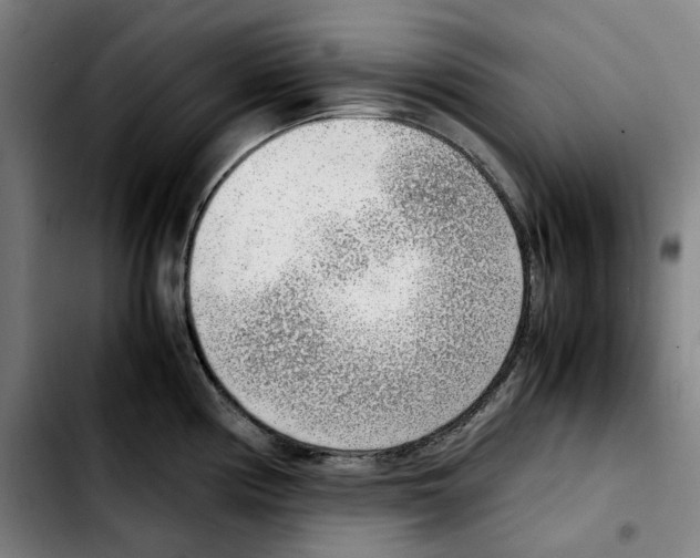 X0000103411194200810241201