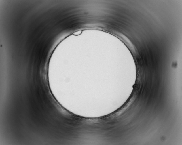 X0000103411196200810241201