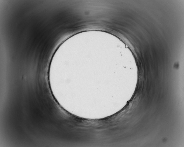 X0000103411197200810241201