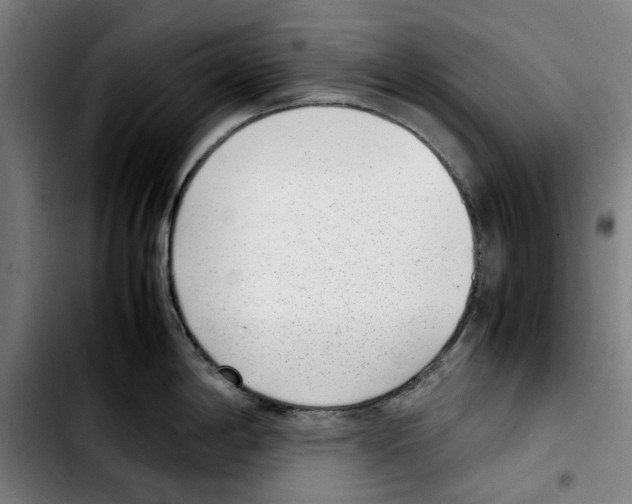 X0000103411198200810241201