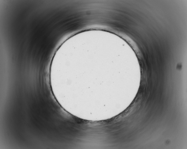 X0000103411199200810241201