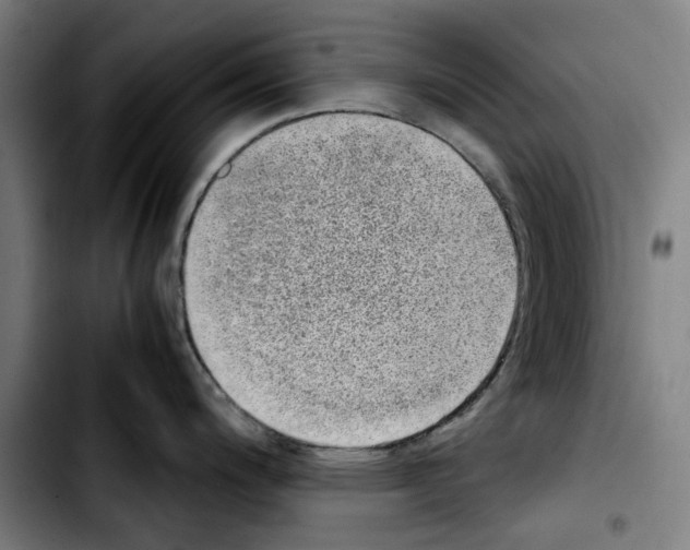 X0000103411200200810241201