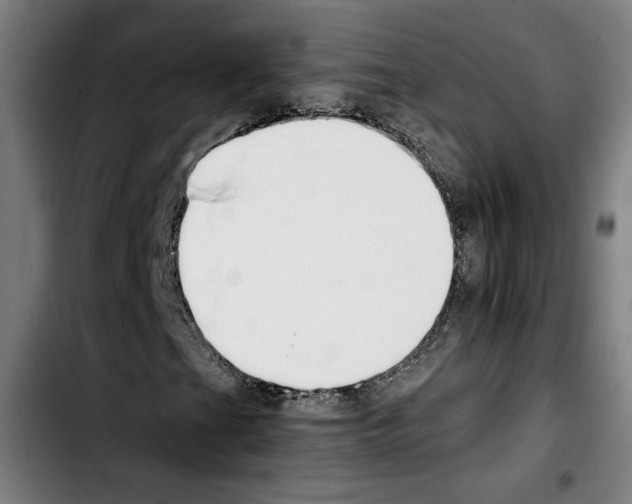 X0000103411201200810241200