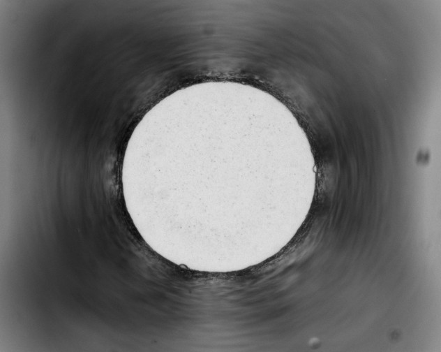 X0000103411202200810241200