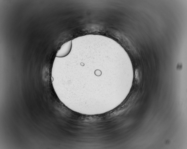 X0000103411203200810241200