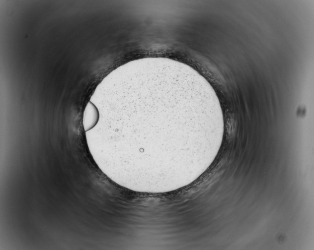 X0000103411204200810241200