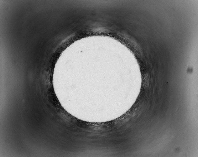 X0000103411205200810241200