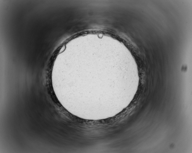 X0000103411208200810241200